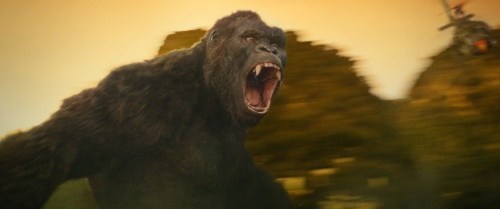 Foto de KONG: LA ISLA CALAVERA