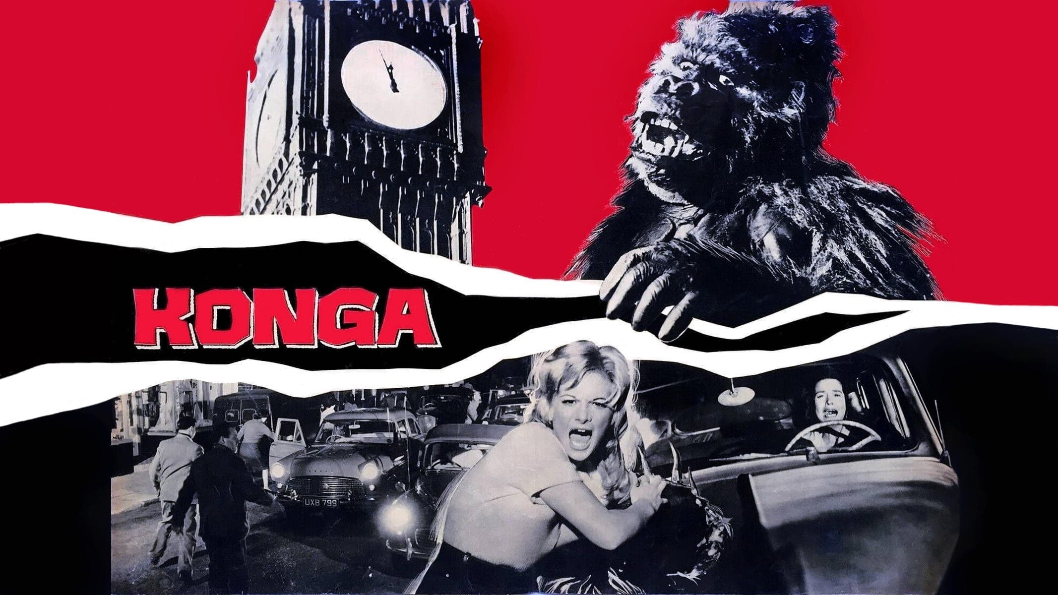 Foto de KONGA
