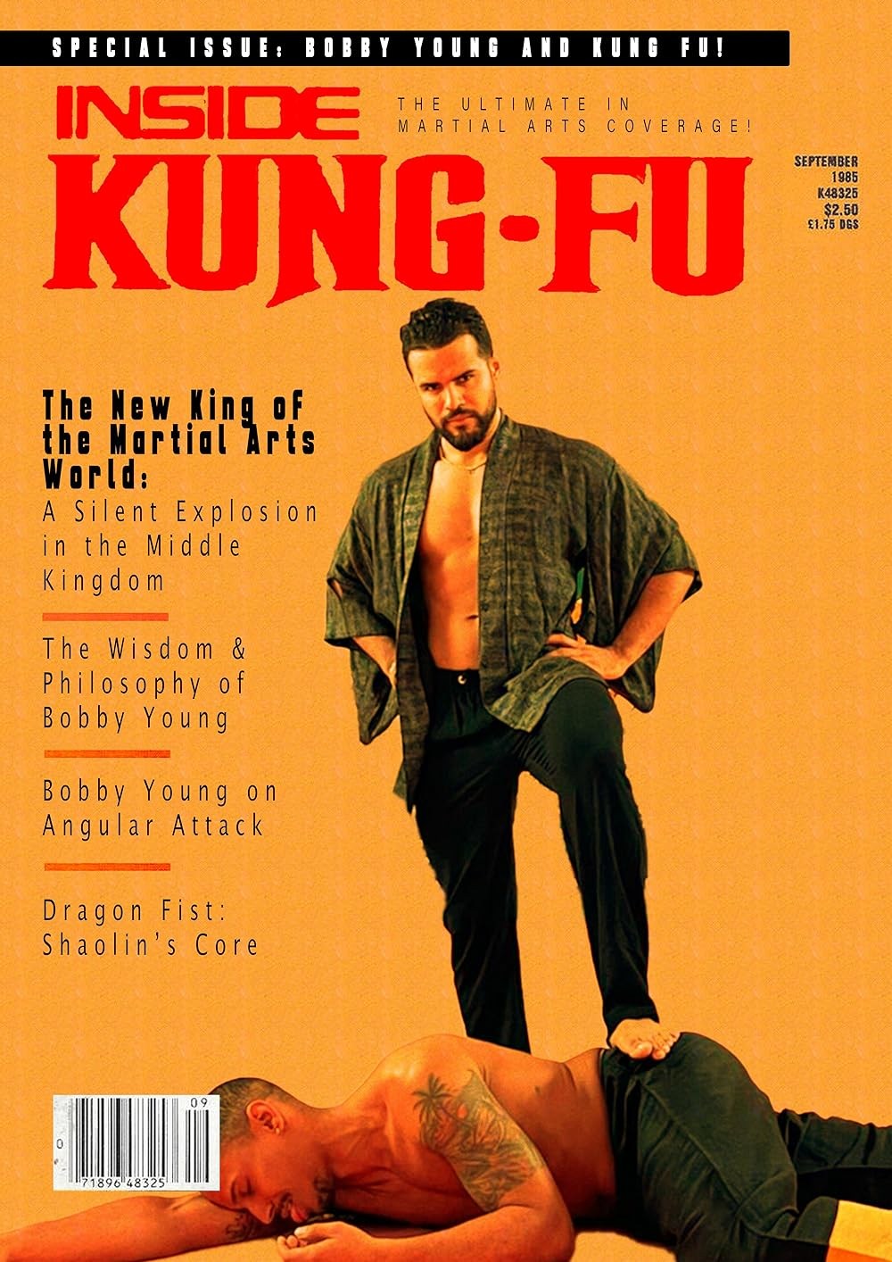 Poster de KUNG FU KING