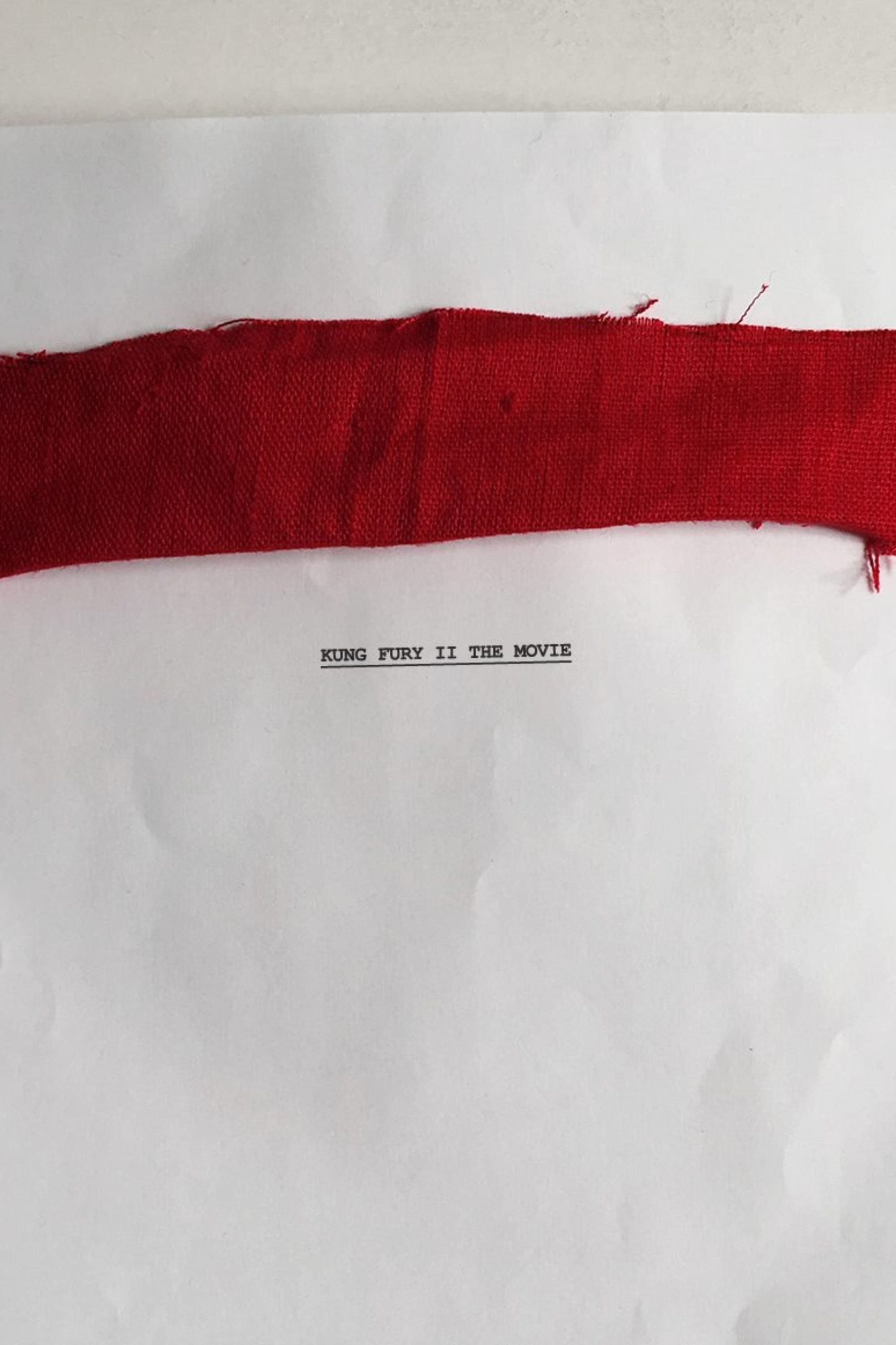 Poster de KUNG FURY II: THE MOVIE