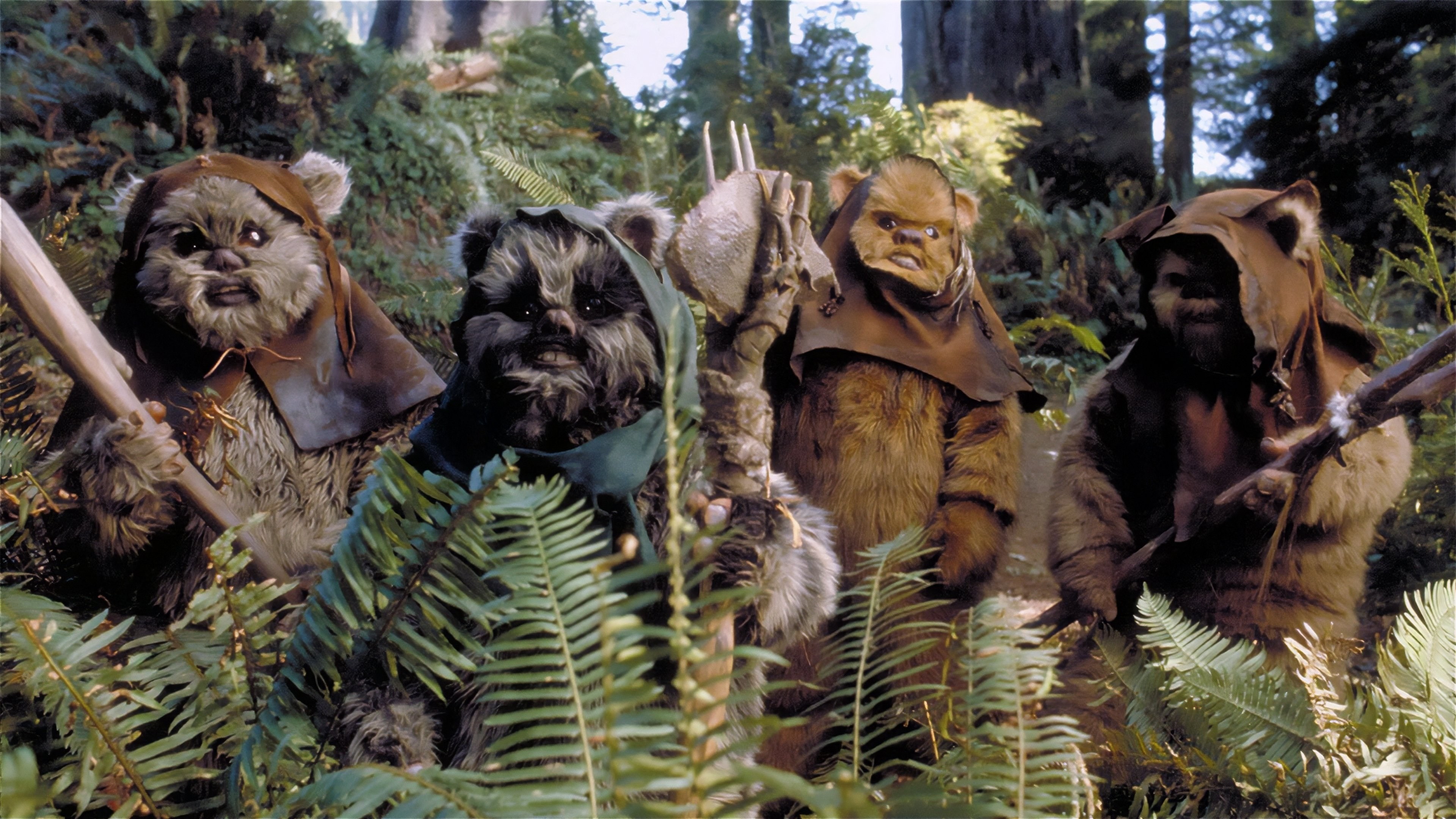 Foto de LA BATALLA DEL PLANETA DE LOS EWOKS