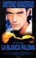 La blanca paloma