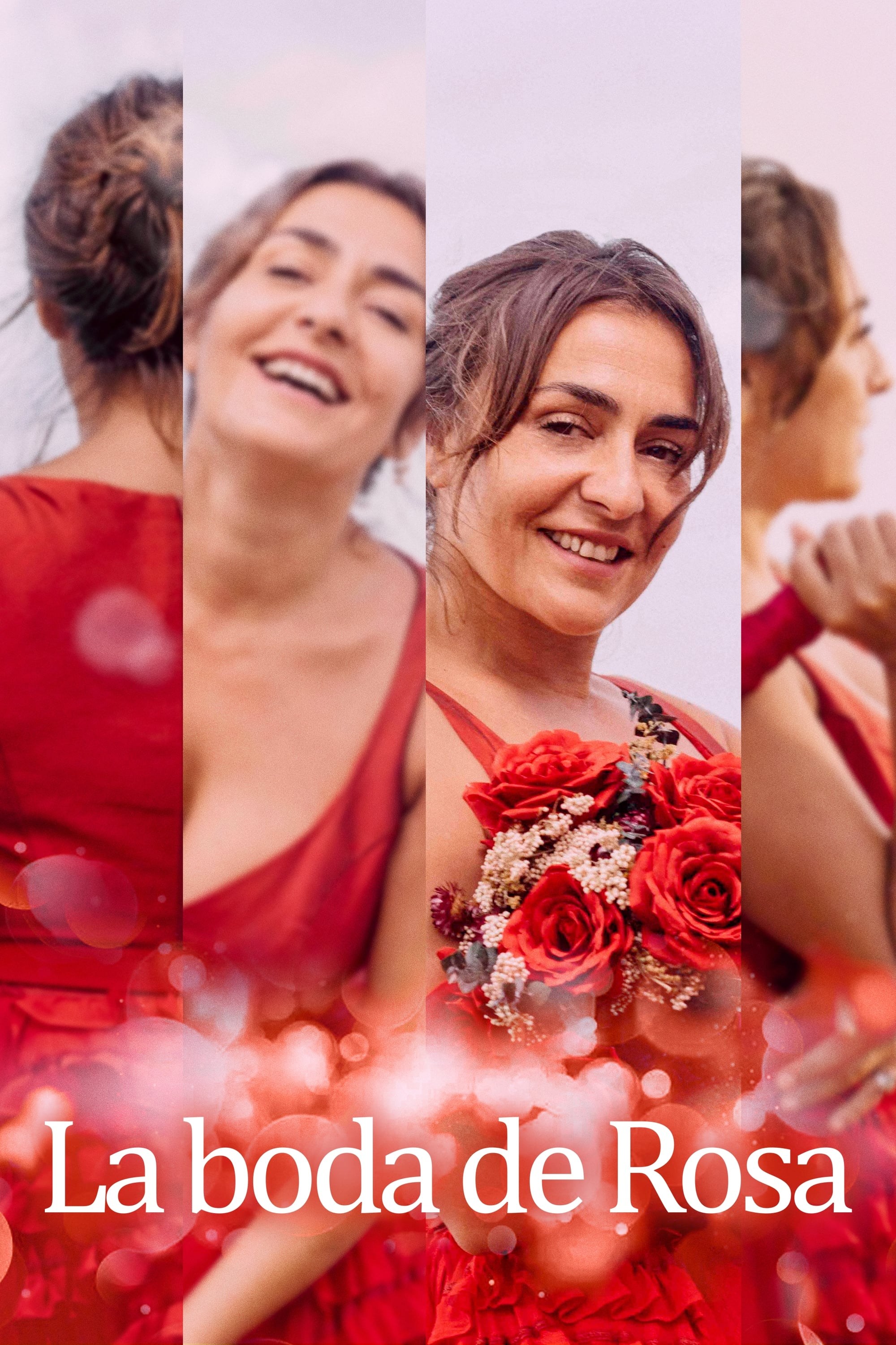Poster de LA BODA DE ROSA en español