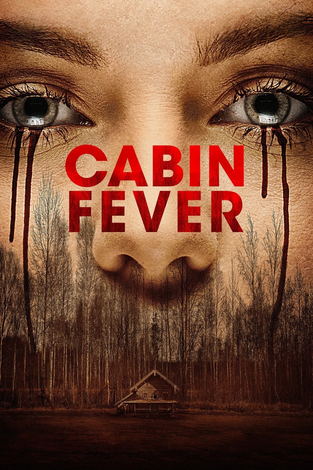 Poster de LA CABAÑA DEL MIEDO en inglés