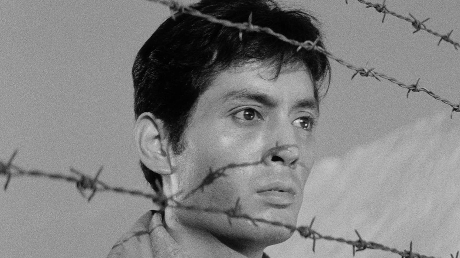 Foto de LA CONDICIÓN HUMANA I: NO HAY AMOR MÁS GRANDE