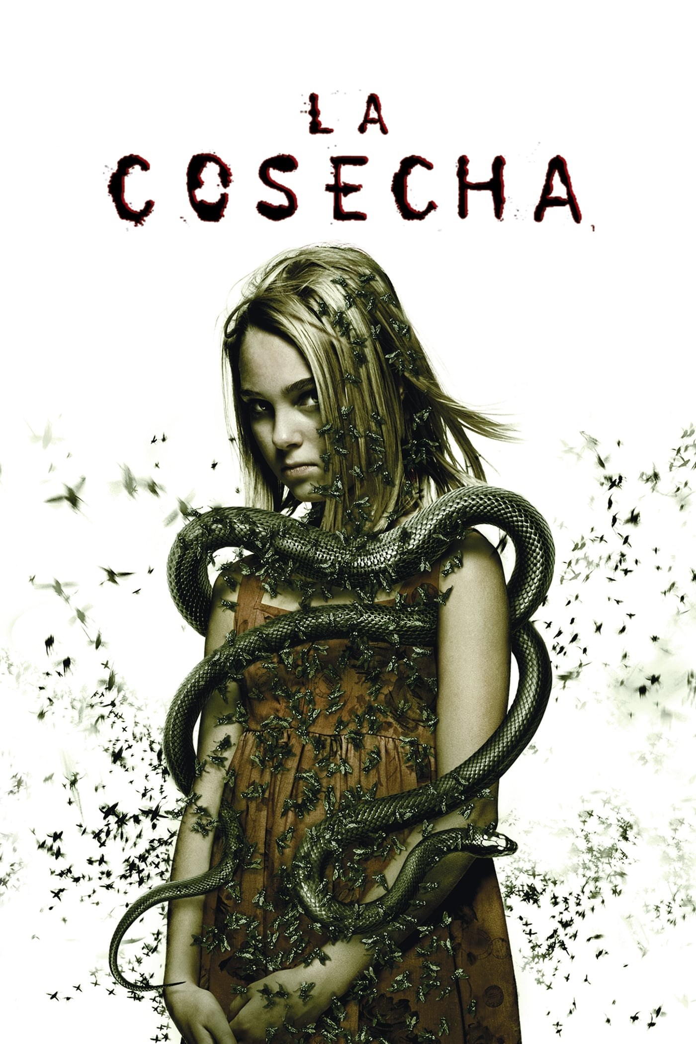 Poster de LA COSECHA en español