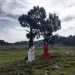La decisión de Lourdes