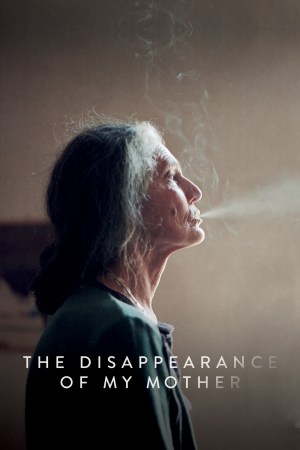 La desaparición de mi madre
