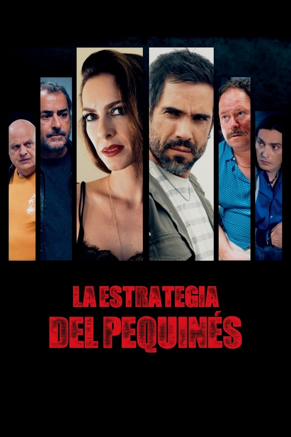 Poster de LA ESTRATEGIA DEL PEQUINÉS en español