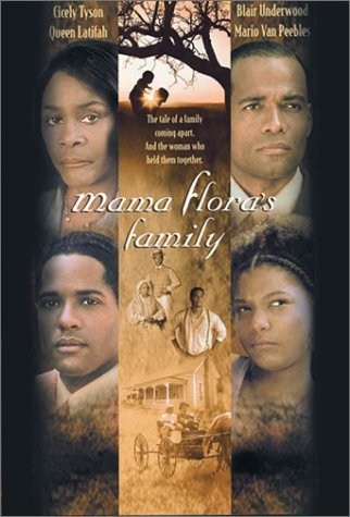 Poster de LA FAMILIA DE MAMÁ FLORA