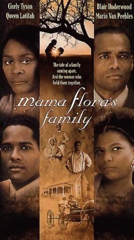 Poster de LA FAMILIA DE MAMÁ FLORA