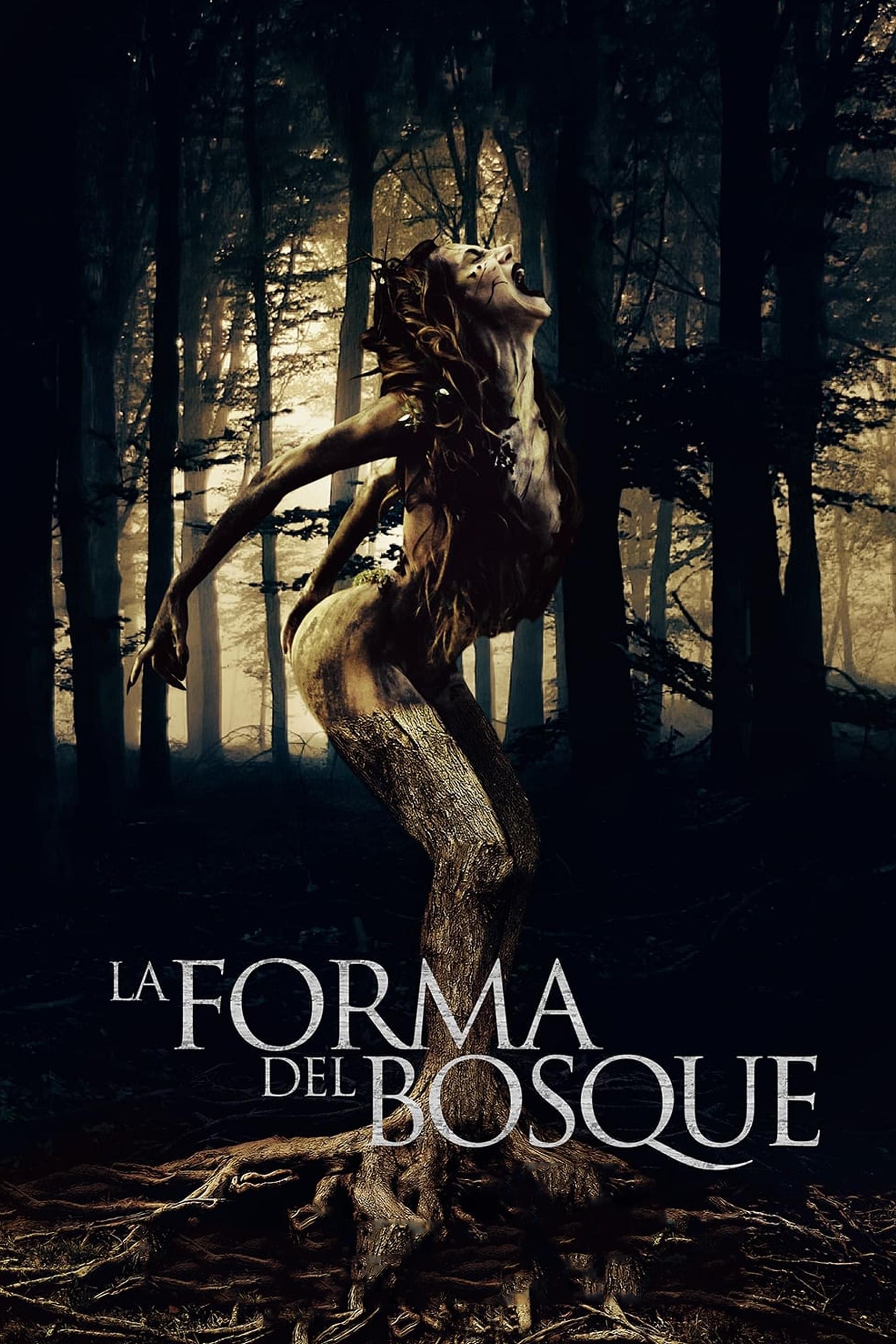 Poster de LA FORMA DEL BOSQUE en español