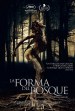 La Forma del Bosque