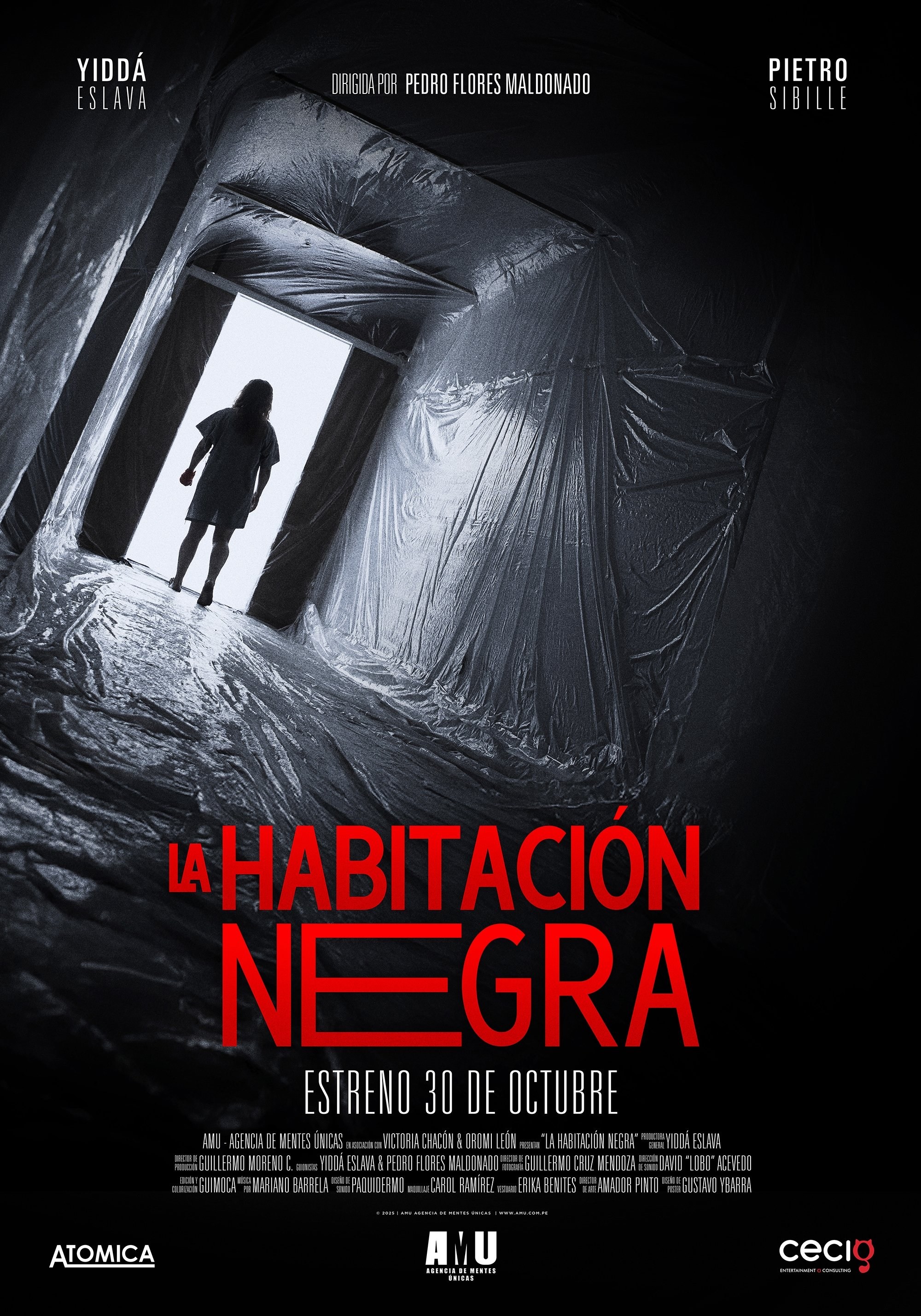Poster de LA HABITACIÓN NEGRA en español