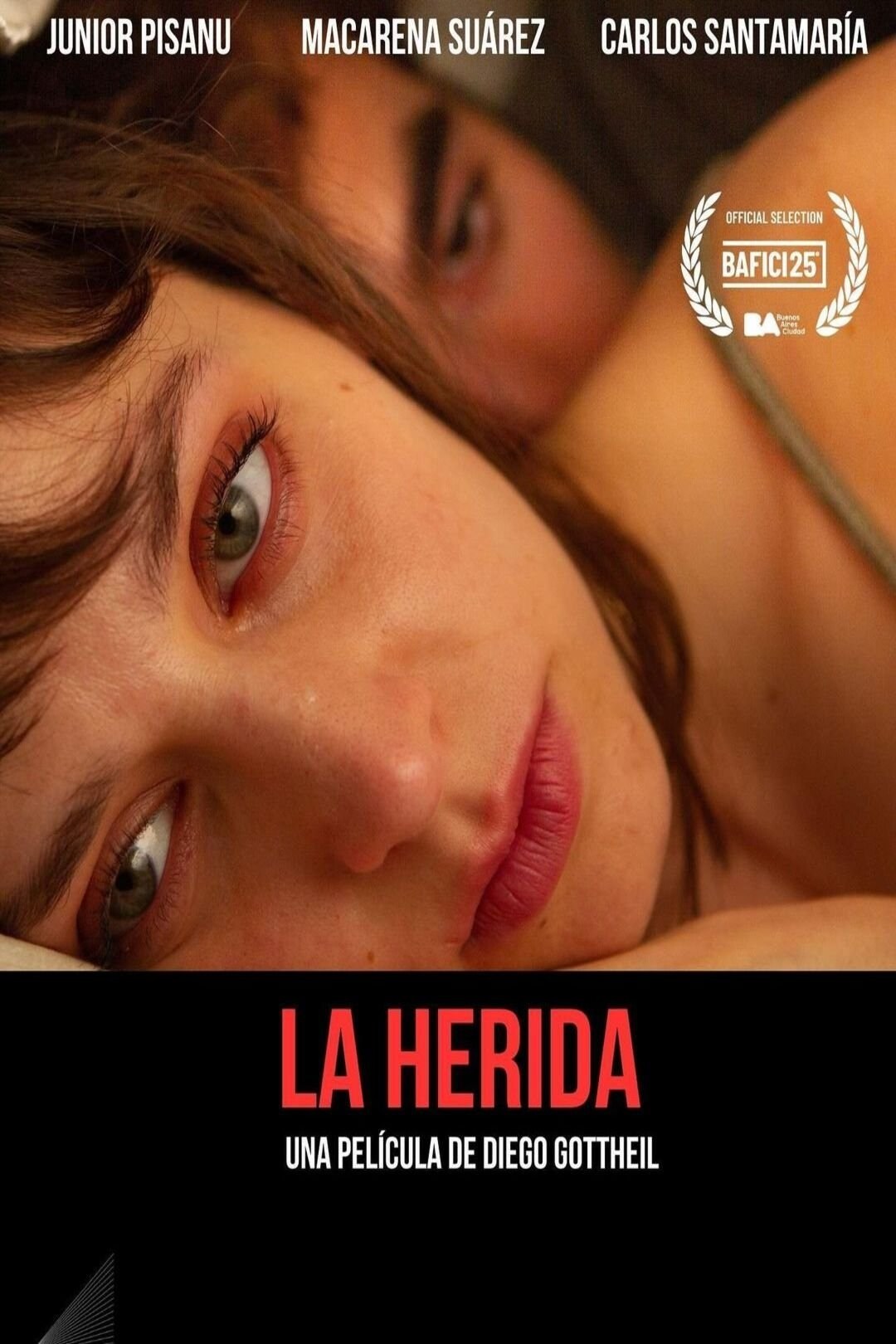 Poster de LA HERIDA