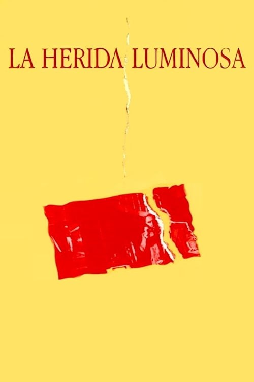 Poster de LA HERIDA LUMINOSA en español