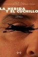 The Wound and Knife (Notes for a Film About Emilio García Wehbi)