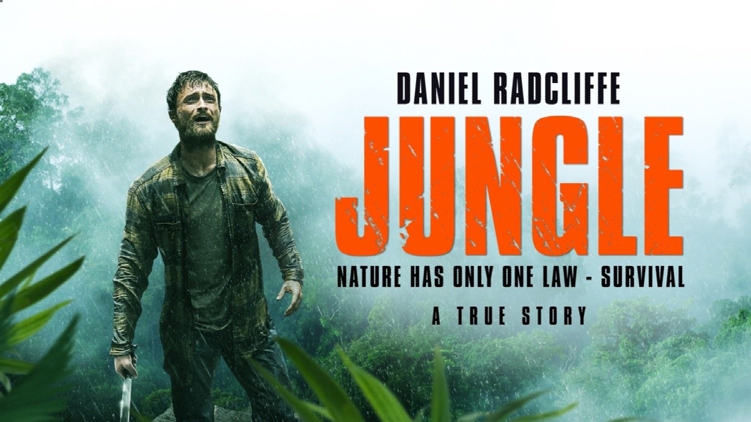 Foto de LA JUNGLA