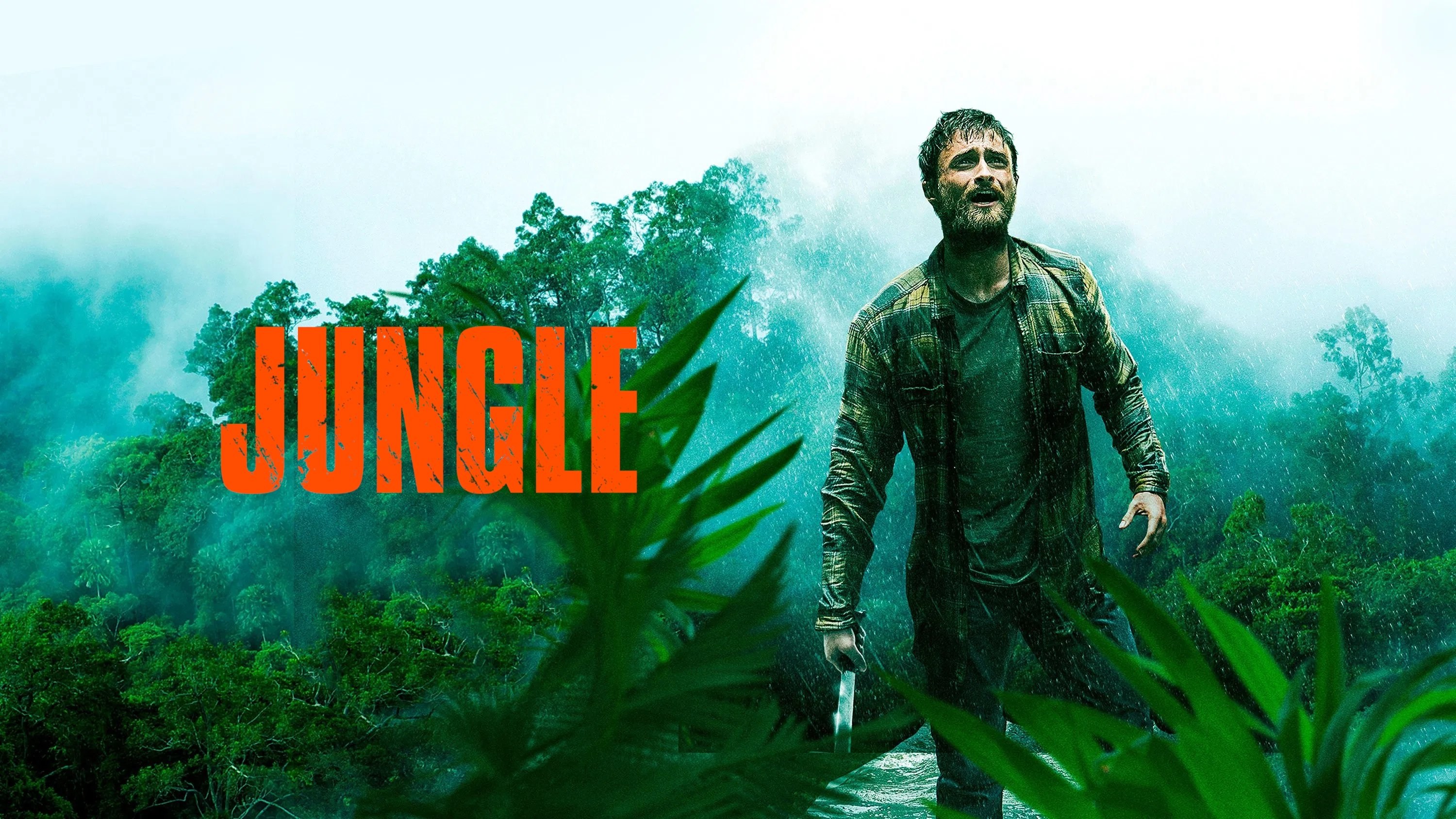 Foto de LA JUNGLA