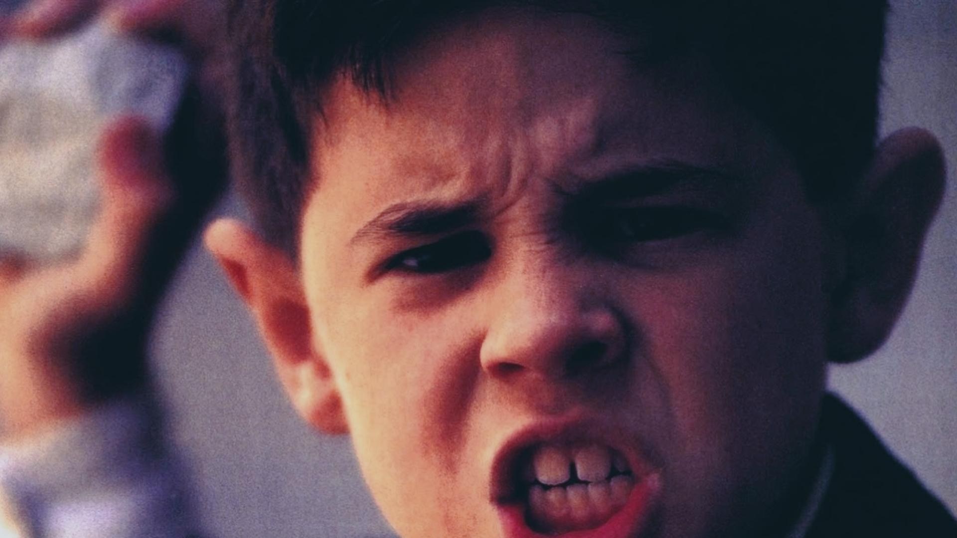 Foto de LA LENGUA DE LAS MARIPOSAS