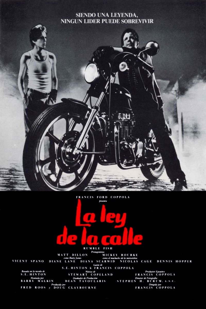 Poster de LA LEY DE LA CALLE en español