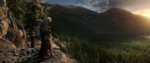 Foto de LA LLAMADA DE LO SALVAJE