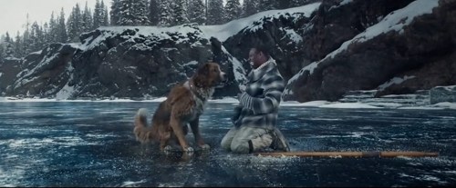 Foto de LA LLAMADA DE LO SALVAJE