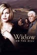 Película Widow on the Hill