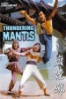 Mantis Fist Fighter