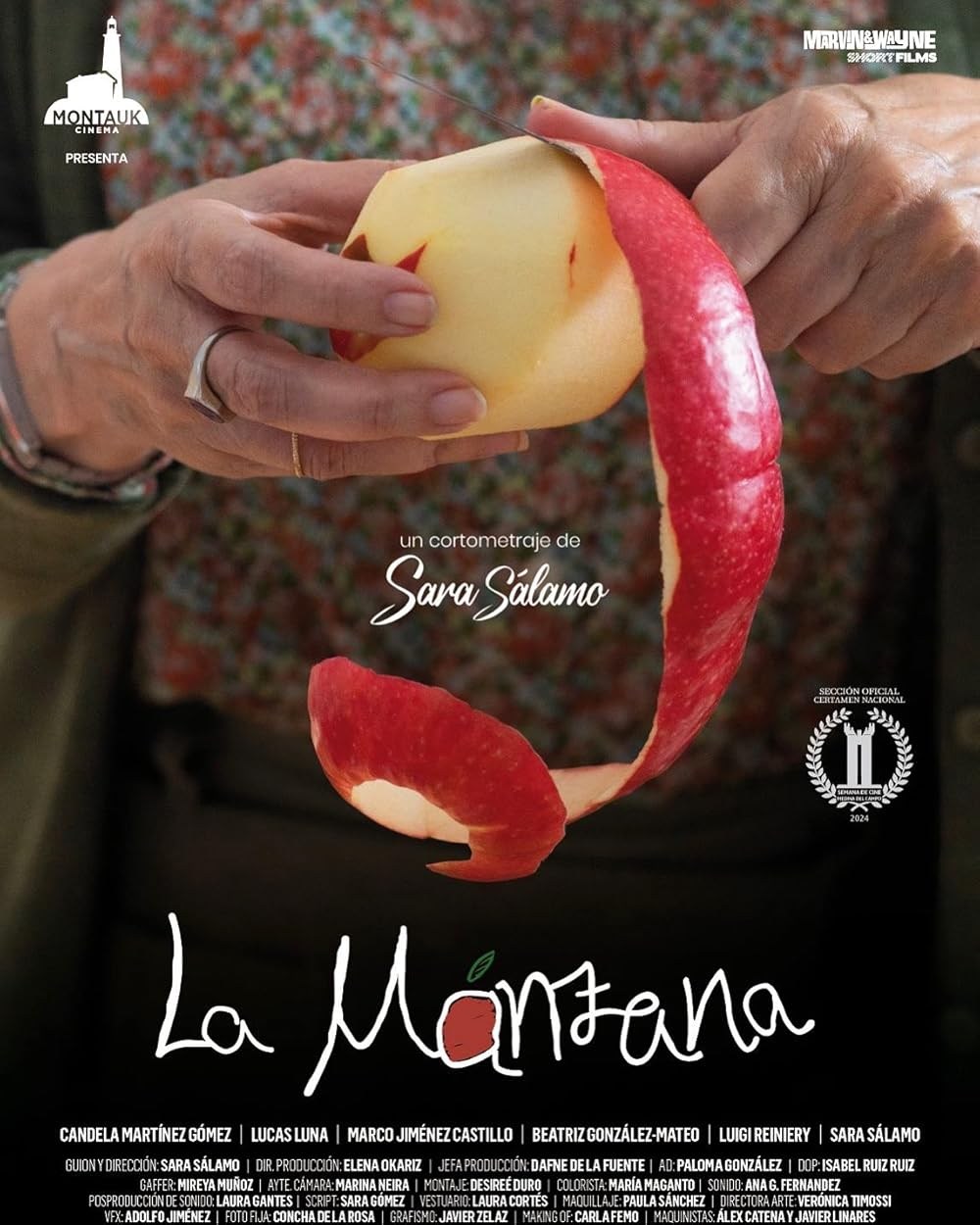 Poster de LA MANZANA