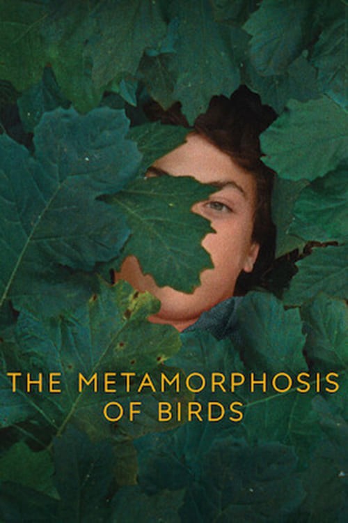 Poster de LA METAMORFOSIS DE LOS PÁJAROS en inglés
