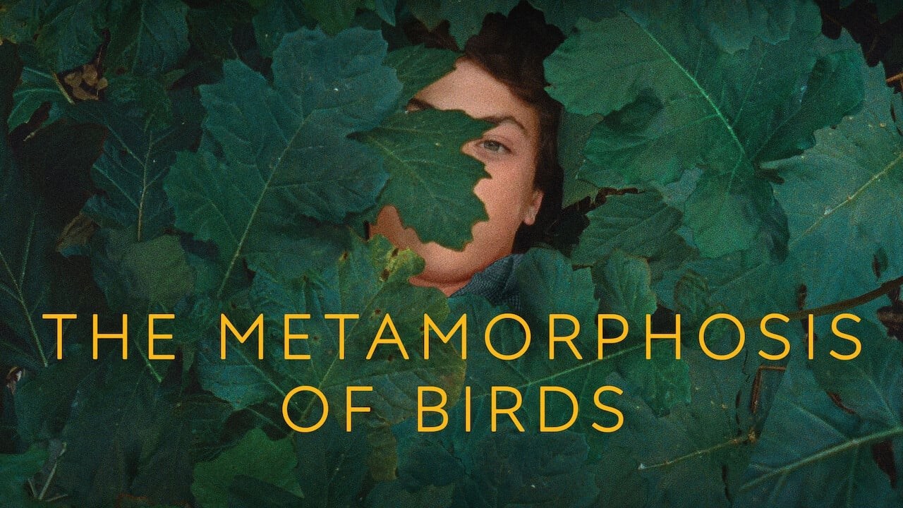 Foto de LA METAMORFOSIS DE LOS PÁJAROS