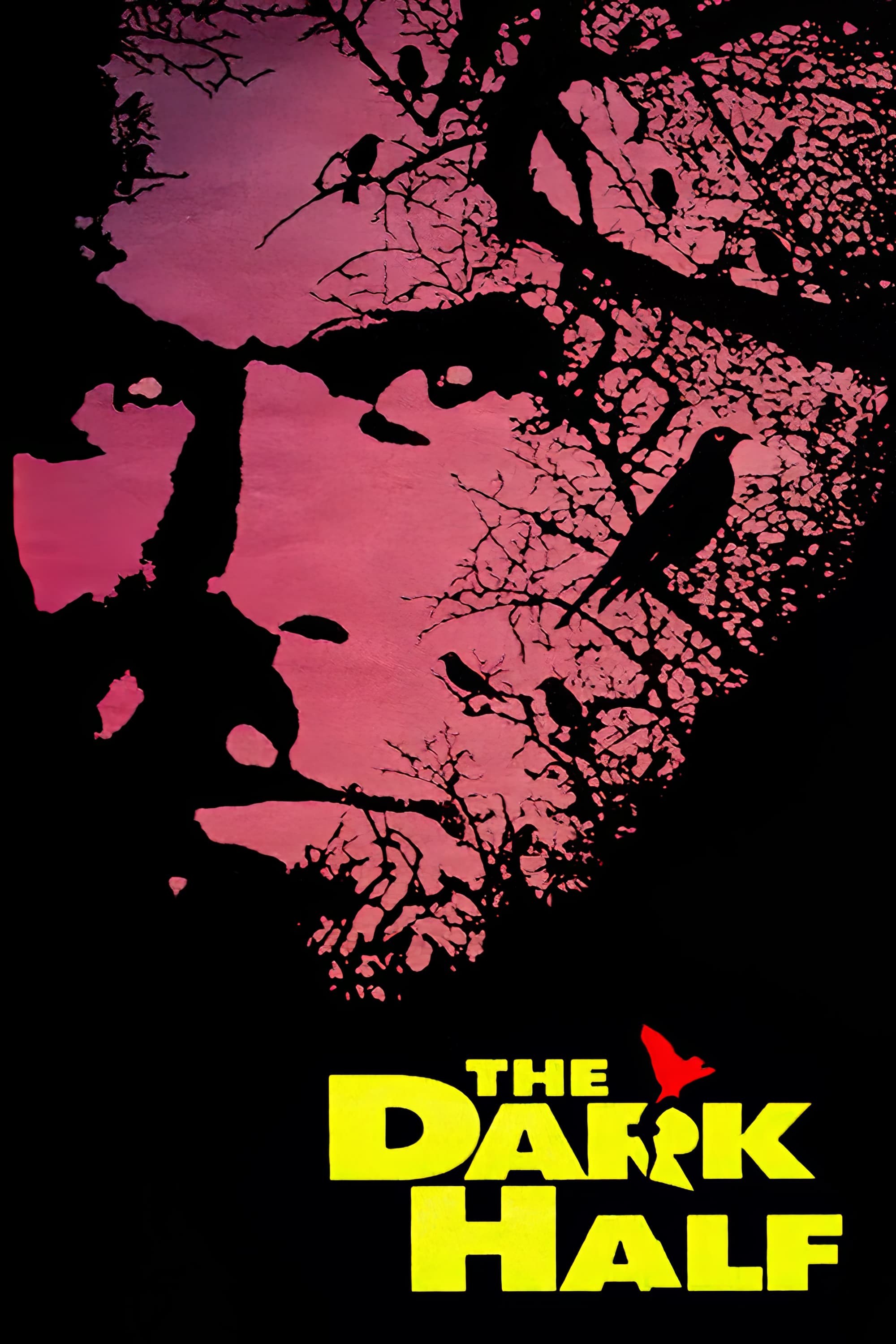 Poster de LA MITAD OSCURA en inglés