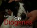 La muerte de Diogenes