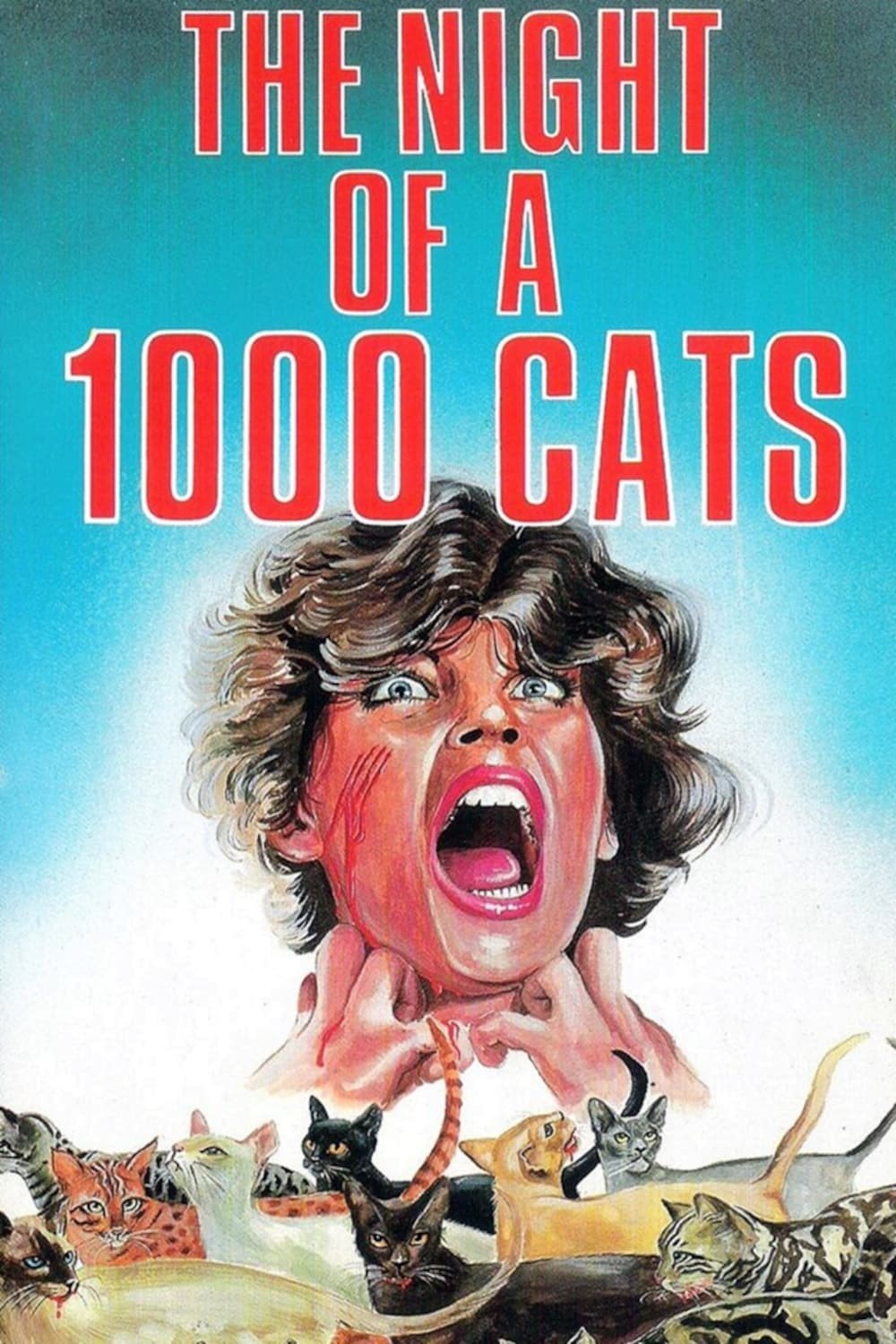 Poster de LA NOCHE DE LOS MIL GATOS en inglés