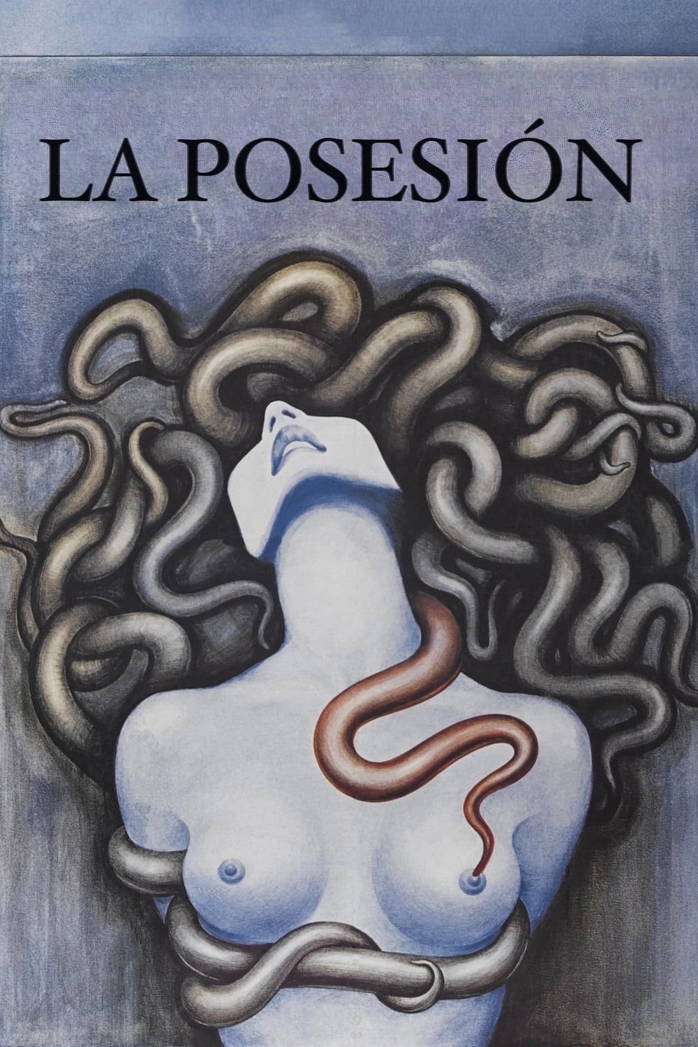 Poster de LA POSESIÓN en español