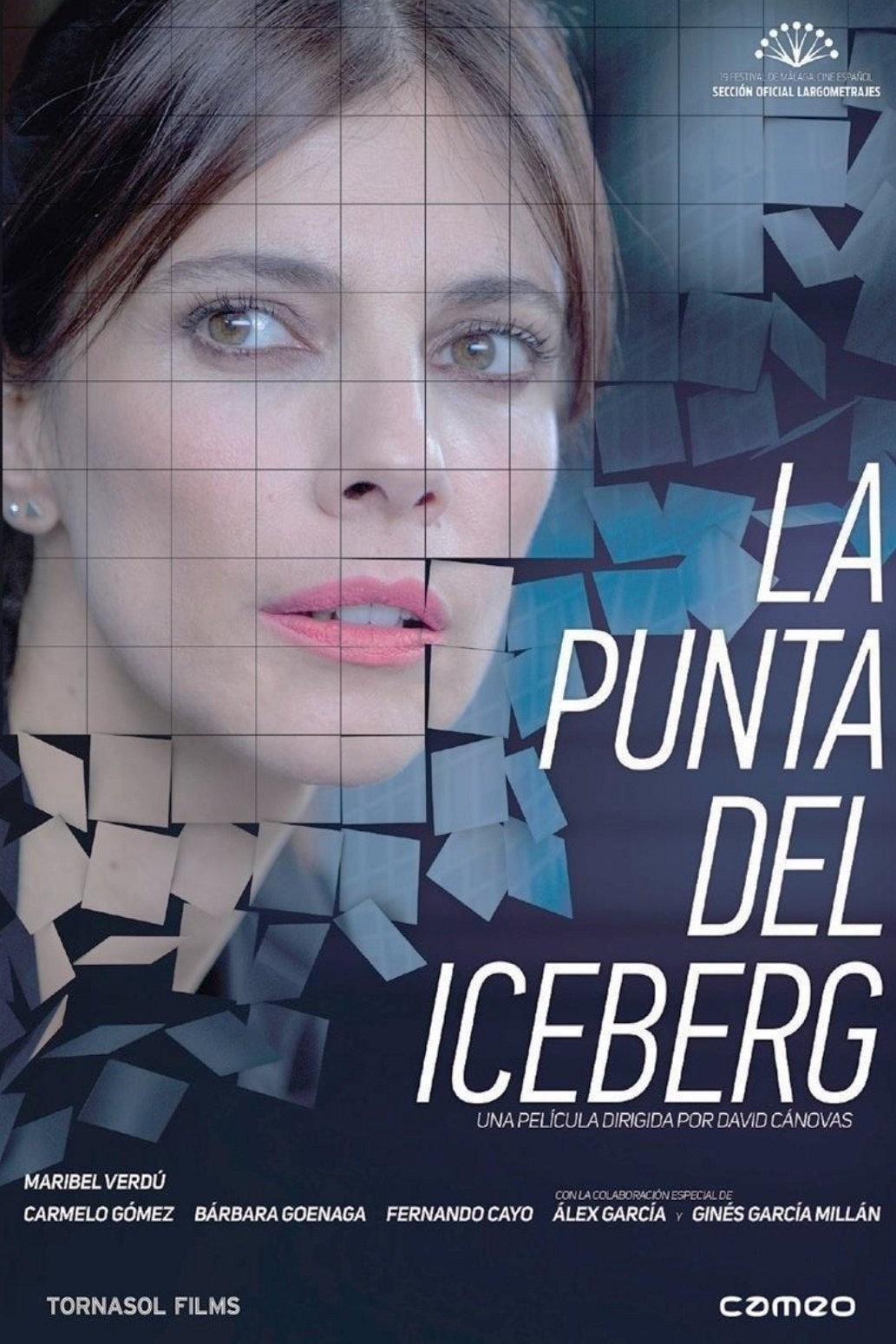 Poster de LA PUNTA DEL ICEBERG en español