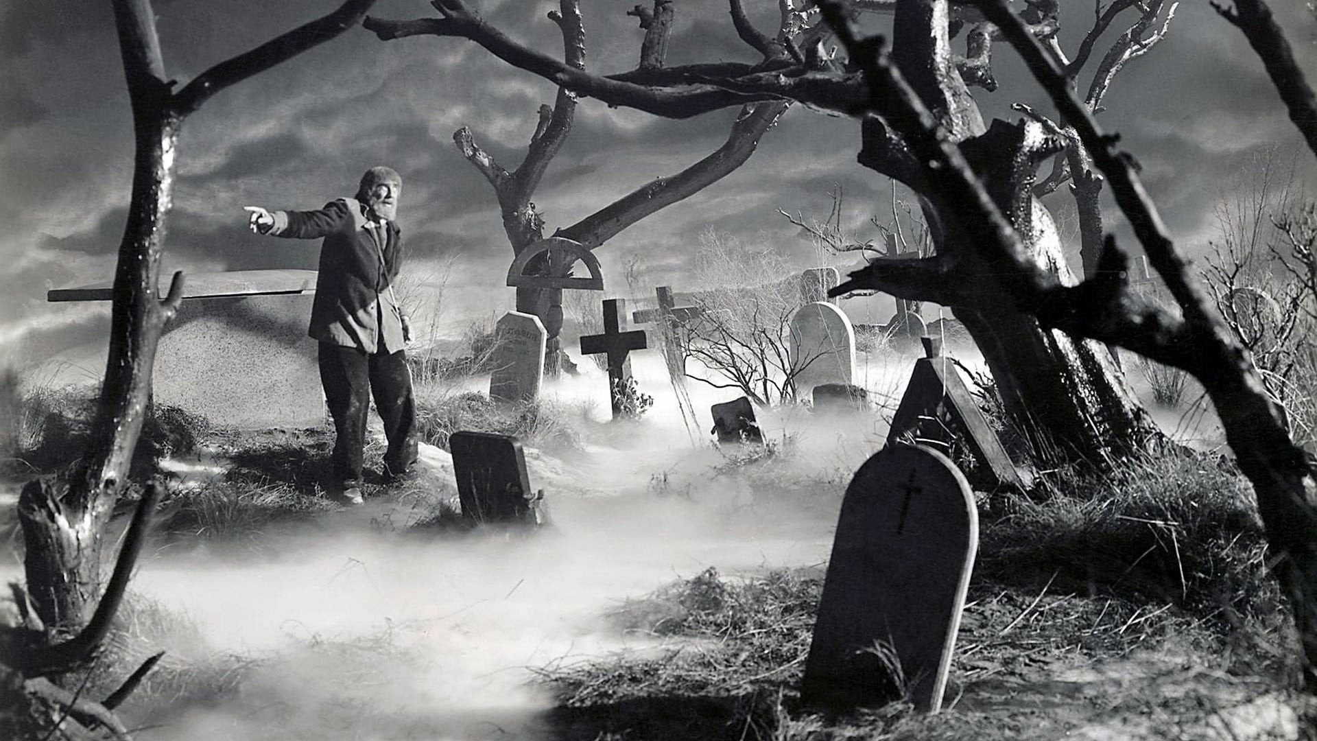 Foto de LA SOMBRA DE FRANKENSTEIN