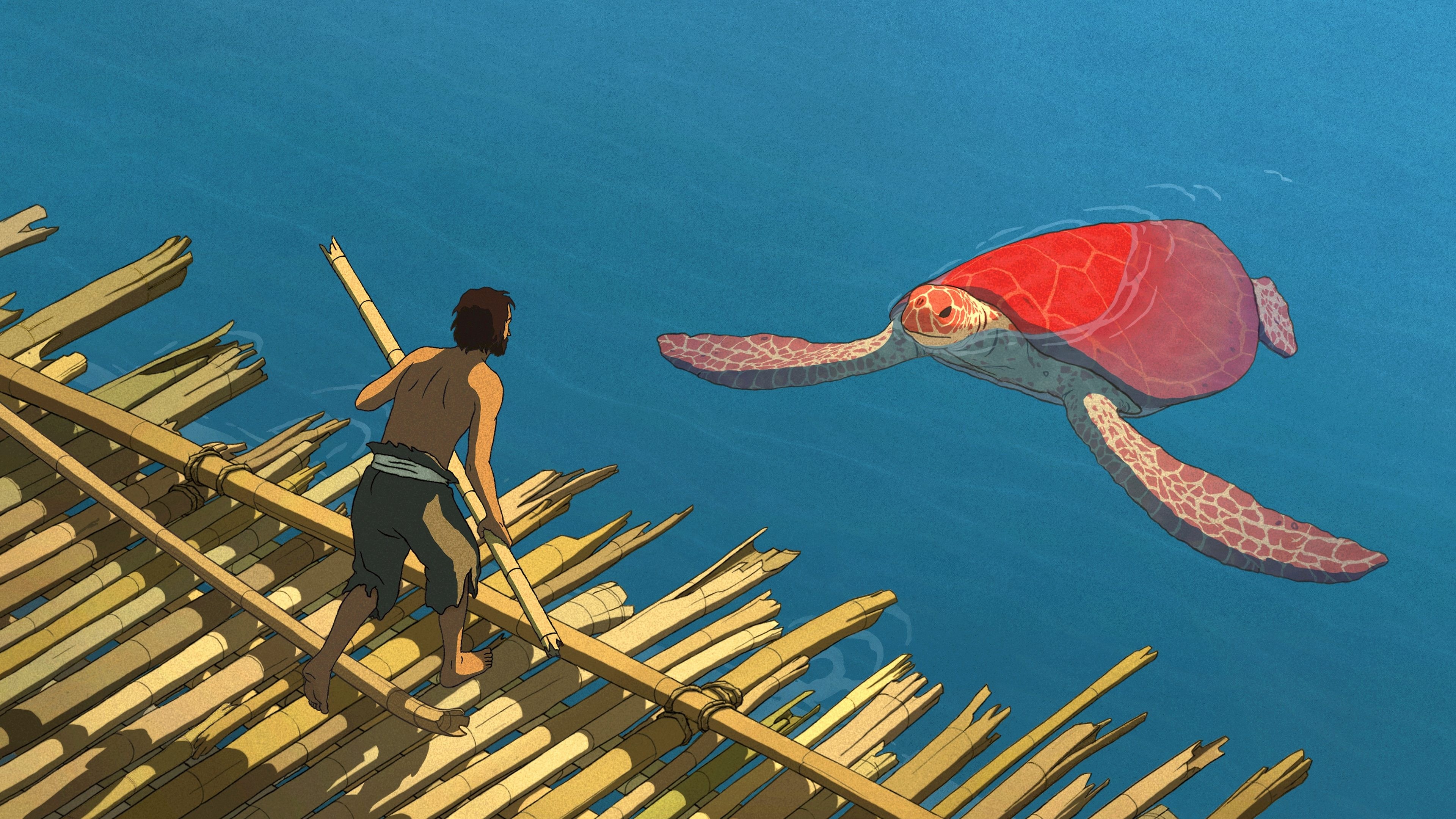 Foto de LA TORTUGA ROJA