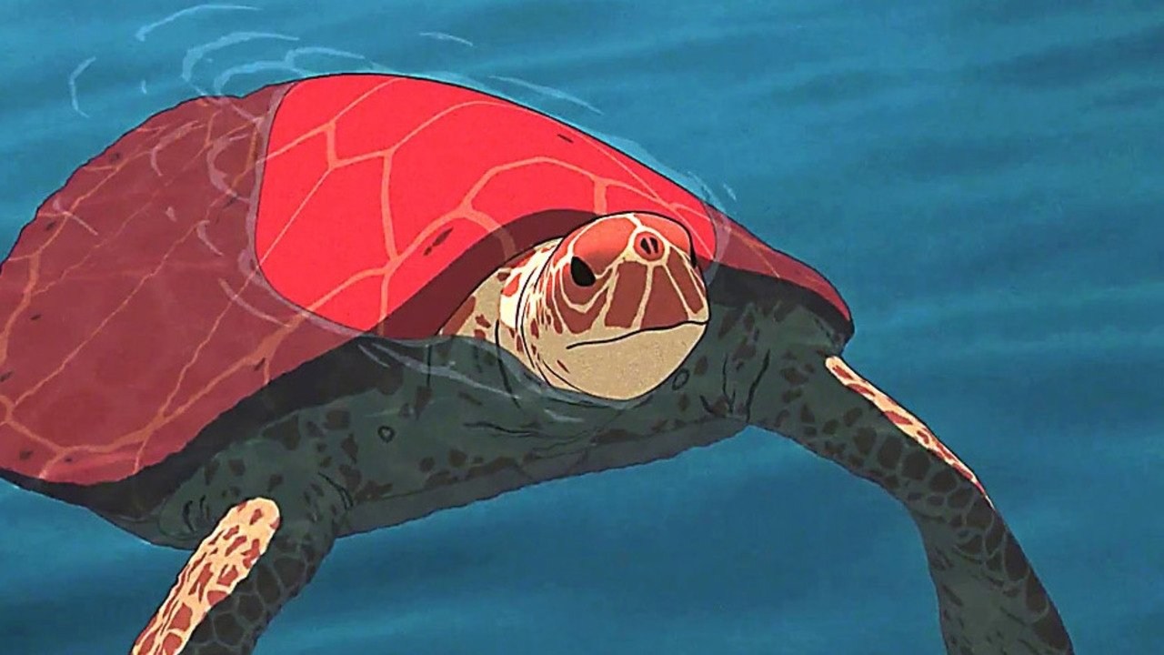 Foto de LA TORTUGA ROJA
