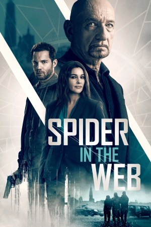 La trampa de la araña
