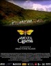 The Voice of the Cicadas