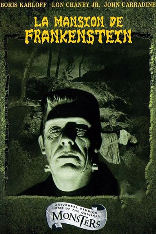 Poster de LA ZÍNGARA Y LOS MONSTRUOS en español