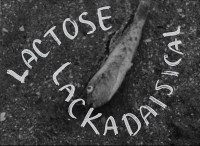 Lactose Lackadaisical