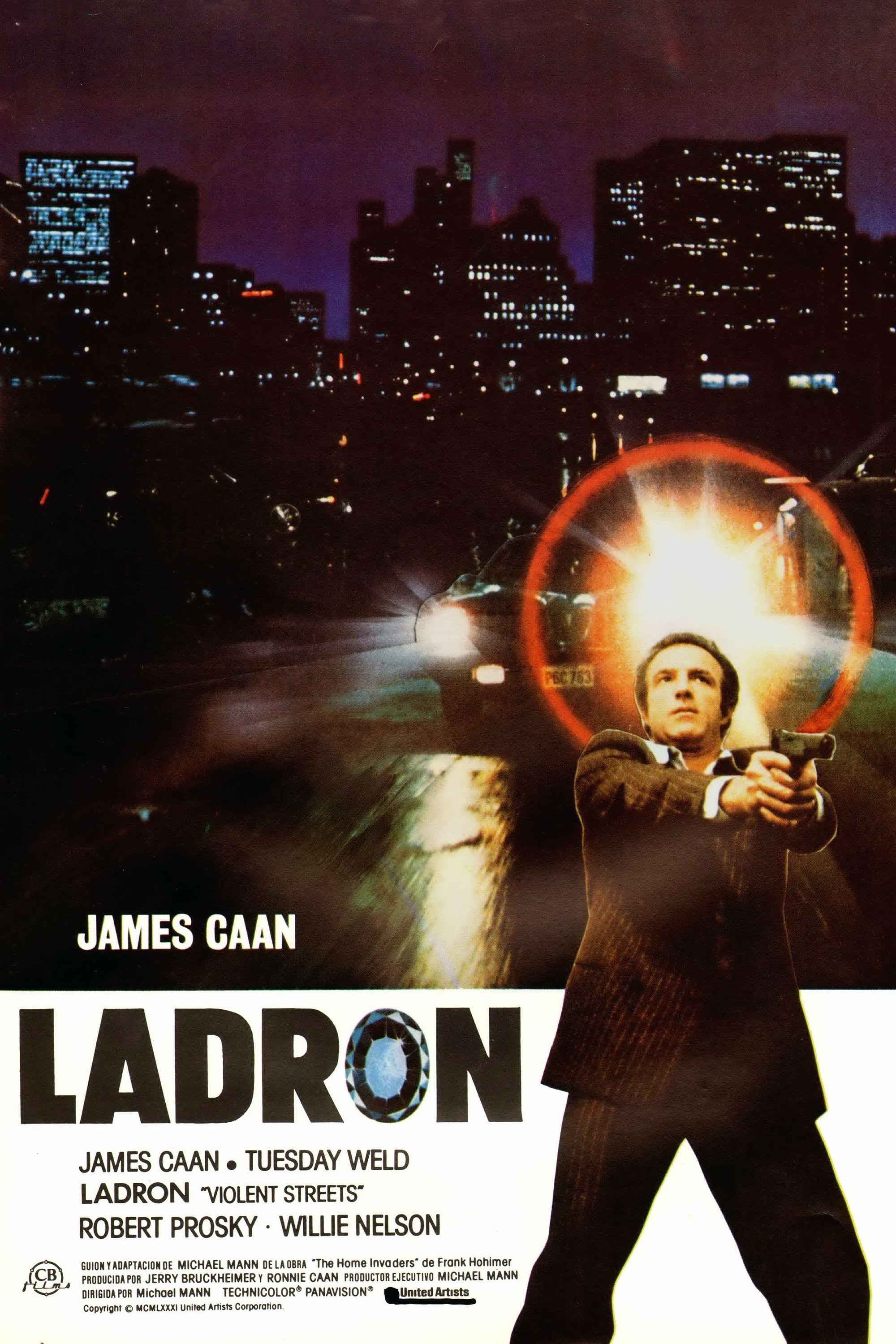 Poster de LADRÓN en español