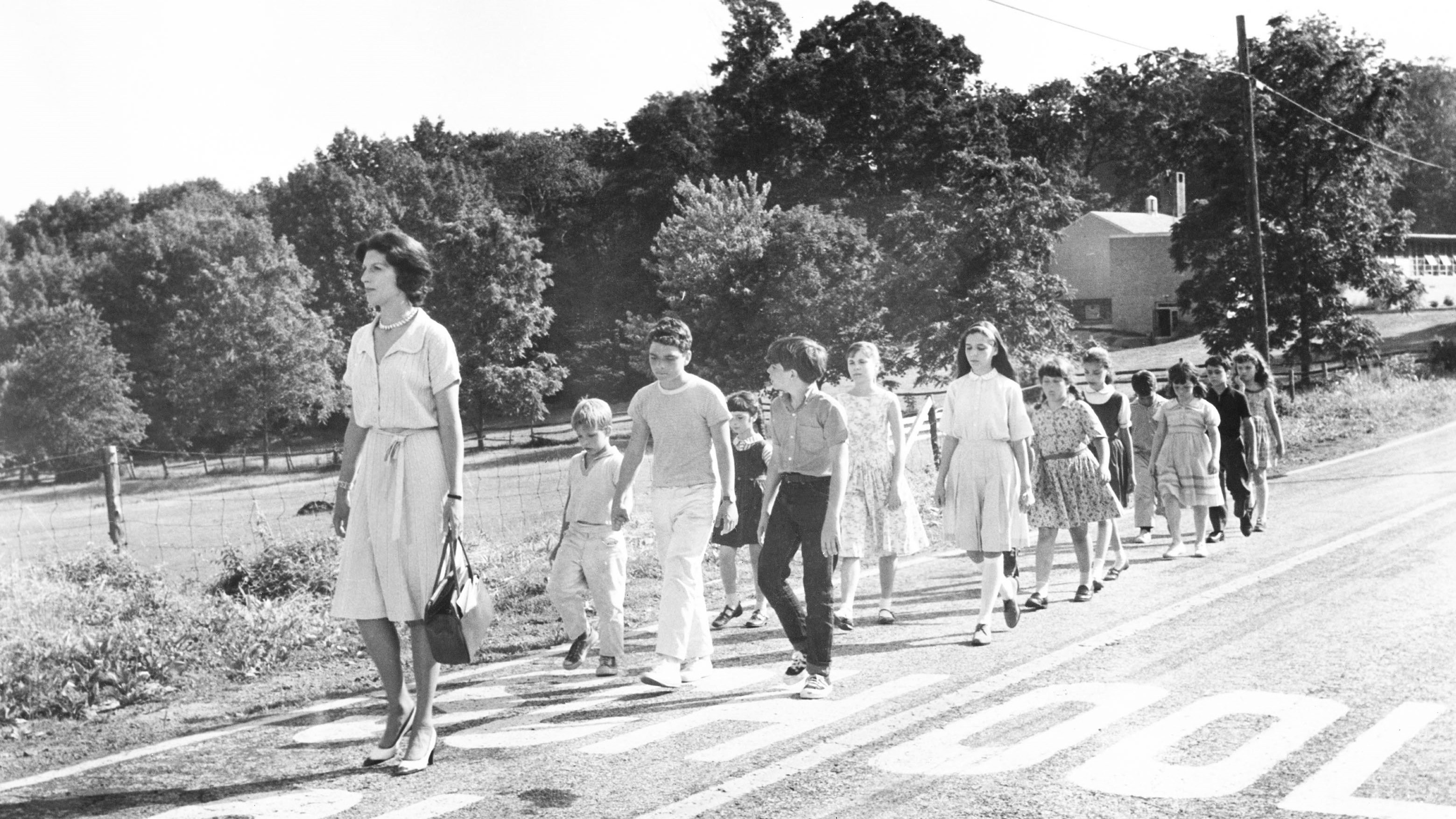 Foto de LADYBUG LADYBUG