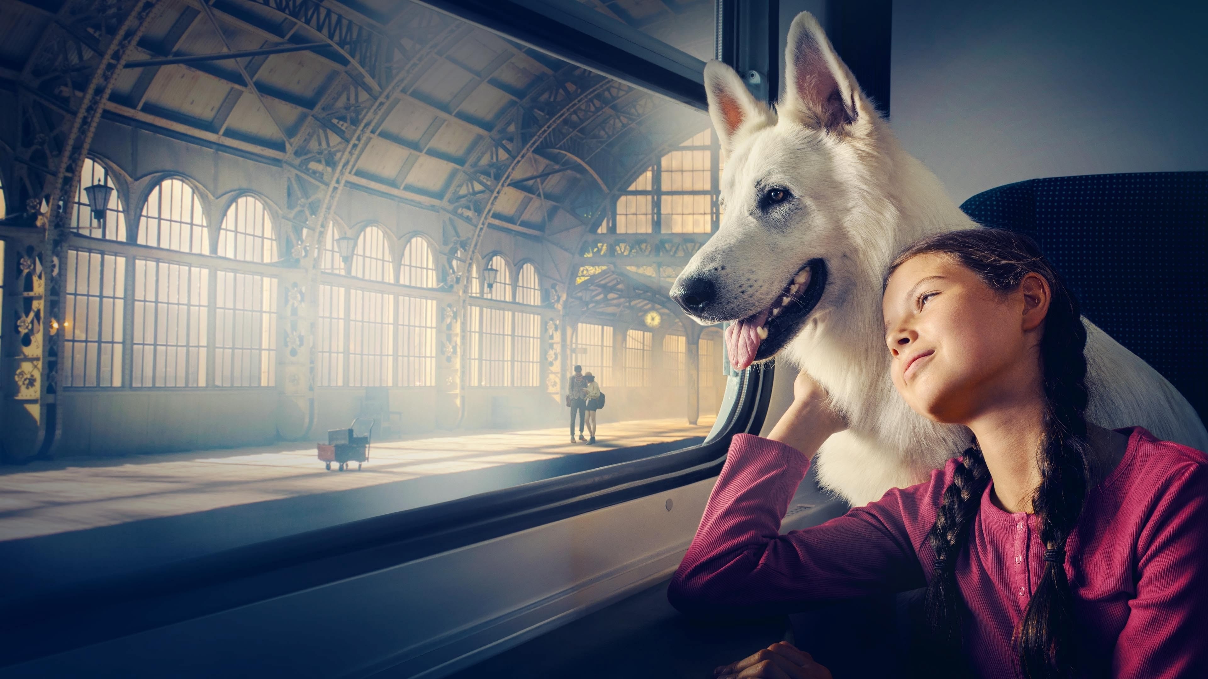 Foto de LAMPO, EL PERRO VIAJERO