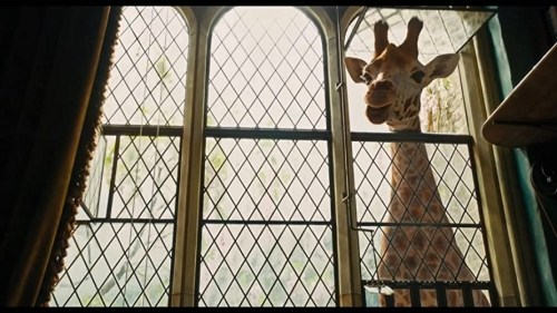 Foto de LAS AVENTURAS DEL DOCTOR DOLITTLE