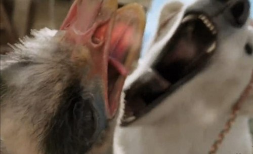 Foto de LAS AVENTURAS DEL DOCTOR DOLITTLE