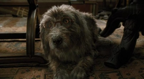Foto de LAS AVENTURAS DEL DOCTOR DOLITTLE